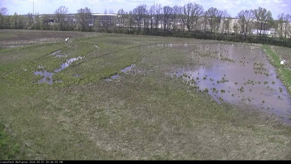 Cell 3_24-05-01_14-46-55-57