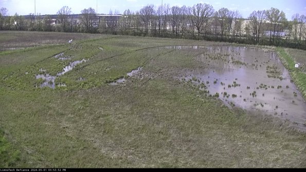 Cell 3_24-05-01_15-53-53-31