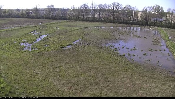 Cell 3_24-05-01_17-34-23-33