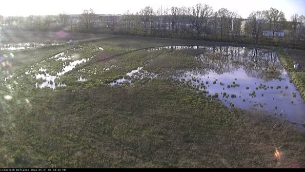 Cell 3_24-05-01_19-48-21-34