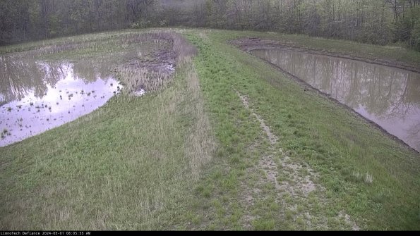 Cell 4 to Basin_24-05-01_08-05-56-35