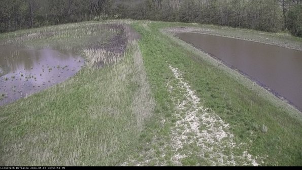 Cell 4 to Basin_24-05-01_15-54-51-33