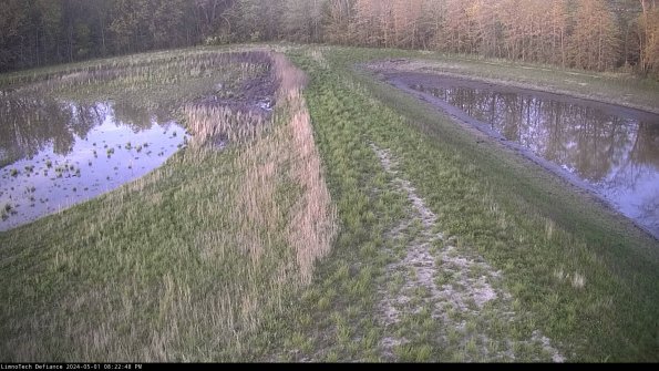 Cell 4 to Basin_24-05-01_20-22-49-35