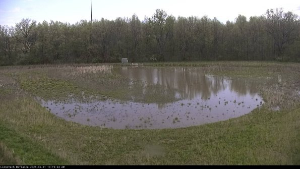 Cell 4_24-05-01_10-19-25-33