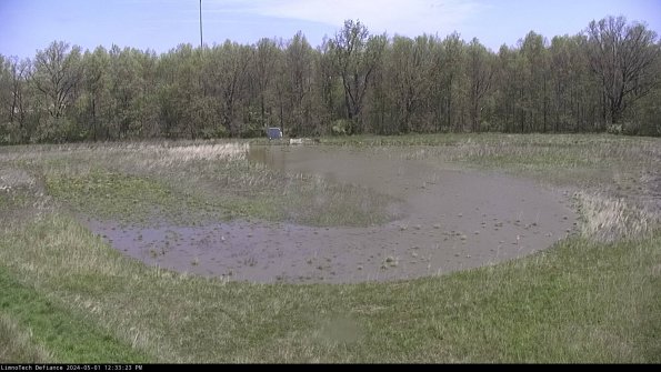 Cell 4_24-05-01_12-33-24-31