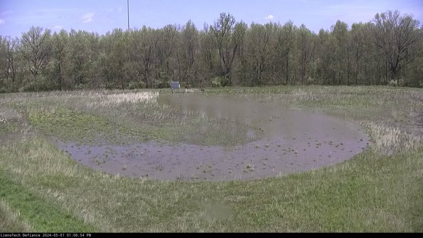 Cell 4_24-05-01_13-06-55-33