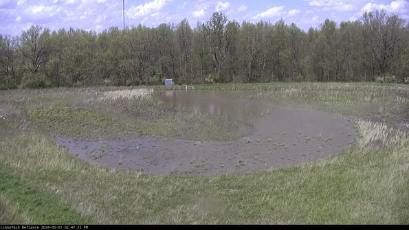 Cell 4_24-05-01_14-47-23-33