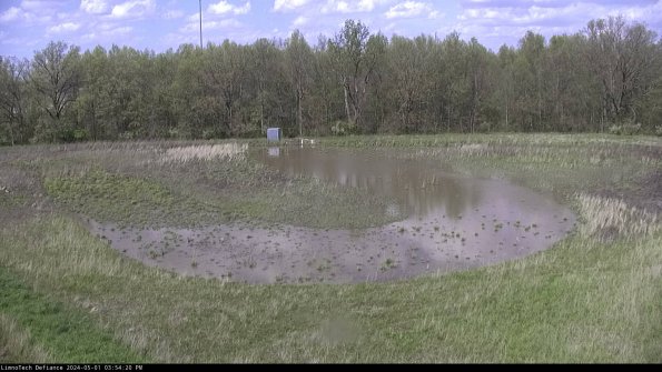 Cell 4_24-05-01_15-54-21-33