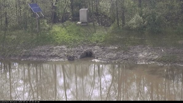 Basin Inflow_24-05-02_10-20-38-57