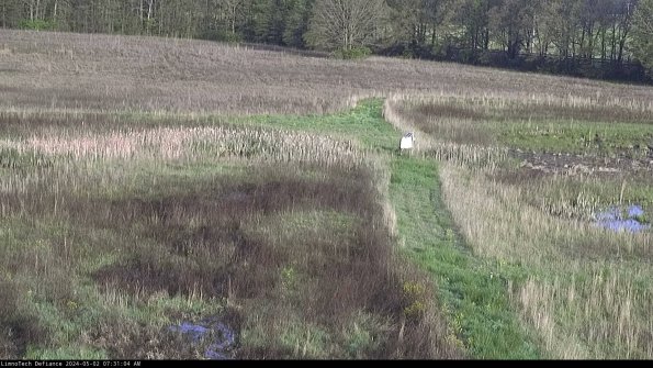 Cell 1 to 2_24-05-02_07-31-05-35