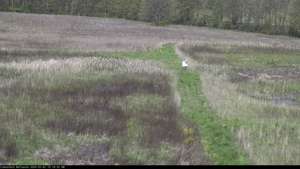 Cell 1 to 2_24-05-02_10-18-33-35