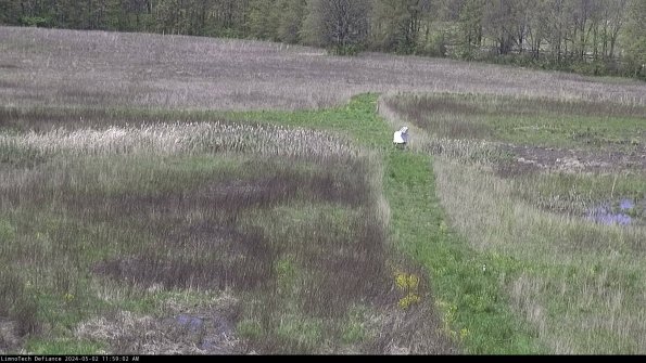 Cell 1 to 2_24-05-02_11-59-03-34