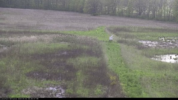 Cell 1 to 2_24-05-02_18-40-58-31