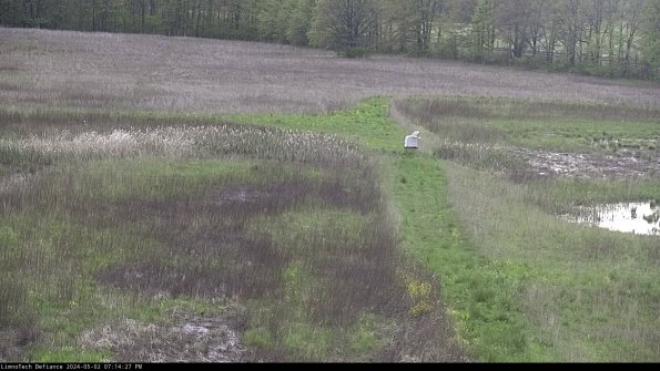 Cell 1 to 2_24-05-02_19-14-28-33