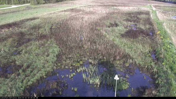 Cell 1_24-05-02_07-30-51-33