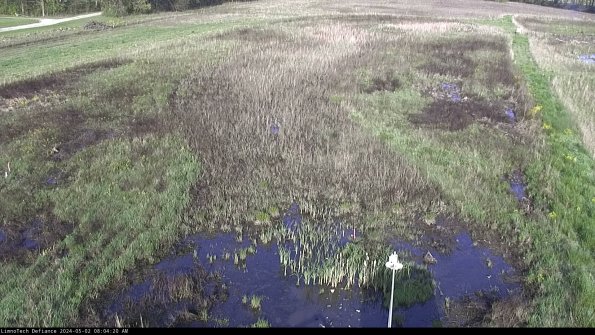 Cell 1_24-05-02_08-04-21-33