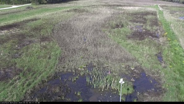 Cell 1_24-05-02_09-11-20-33