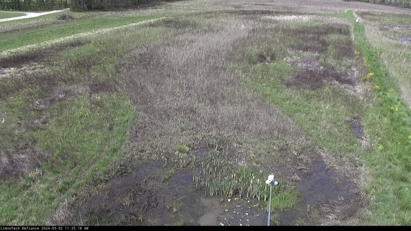 Cell 1_24-05-02_11-25-19-34