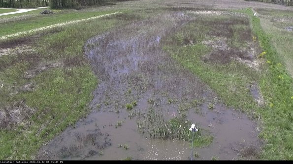 Cell 1_24-05-02_13-05-48-33