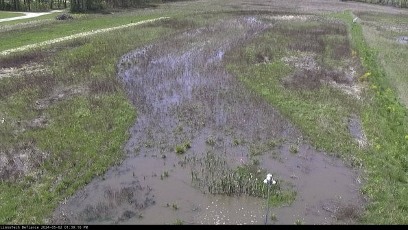 Cell 1_24-05-02_13-39-17-36