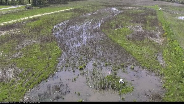 Cell 1_24-05-02_15-19-47-35