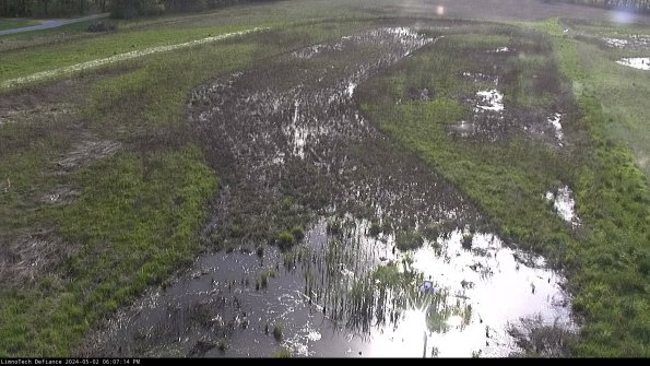 Cell 1_24-05-02_18-07-15-34