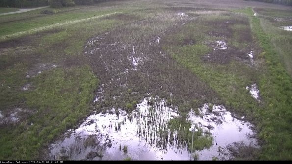 Cell 1_24-05-02_19-47-44-34