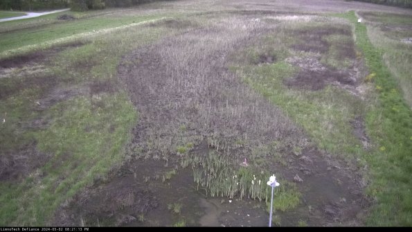 Cell 1_24-05-02_20-21-14-32