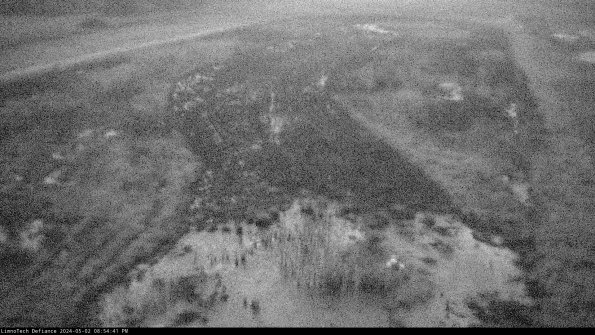 Cell 1_24-05-02_20-54-42-31