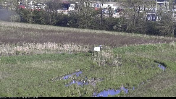 Cell 2 to 3_24-05-02_08-38-30-49