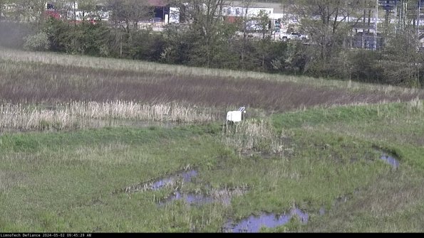 Cell 2 to 3_24-05-02_09-45-29-53