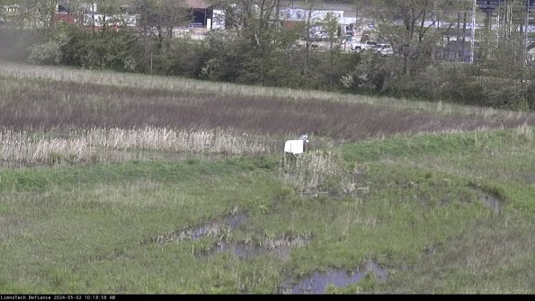 Cell 2 to 3_24-05-02_10-18-59-44