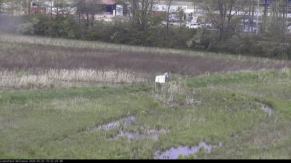 Cell 2 to 3_24-05-02_10-52-29-46