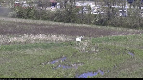 Cell 2 to 3_24-05-02_11-25-59-45