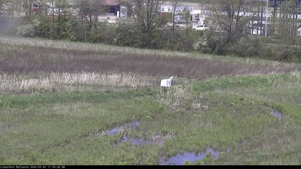 Cell 2 to 3_24-05-02_11-59-29-40