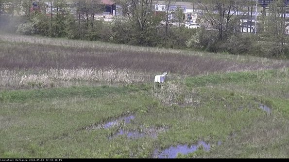 Cell 2 to 3_24-05-02_12-32-58-52