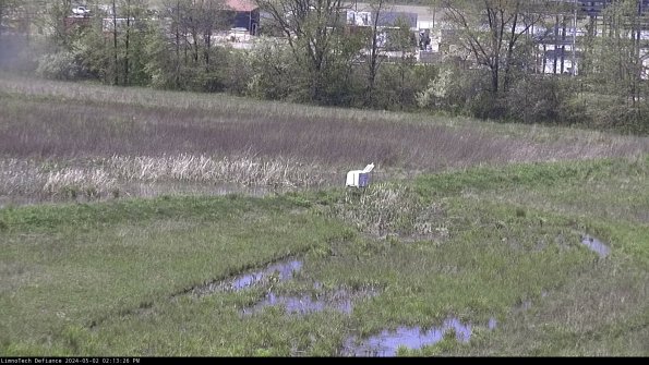 Cell 2 to 3_24-05-02_14-13-27-42