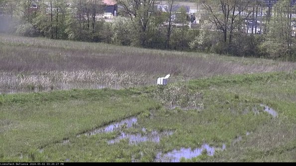 Cell 2 to 3_24-05-02_15-20-27-45