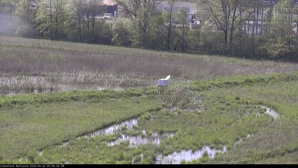 Cell 2 to 3_24-05-02_17-00-56-51