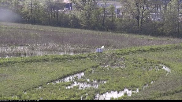 Cell 2 to 3_24-05-02_17-34-26-43