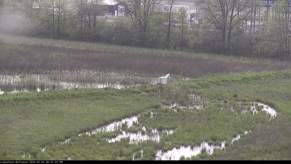 Cell 2 to 3_24-05-02_18-41-24-34