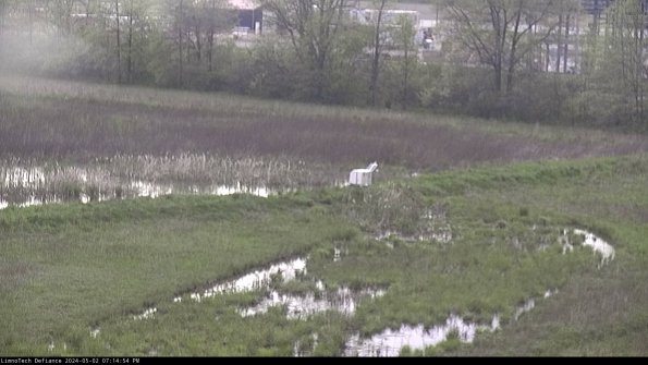 Cell 2 to 3_24-05-02_19-14-54-46