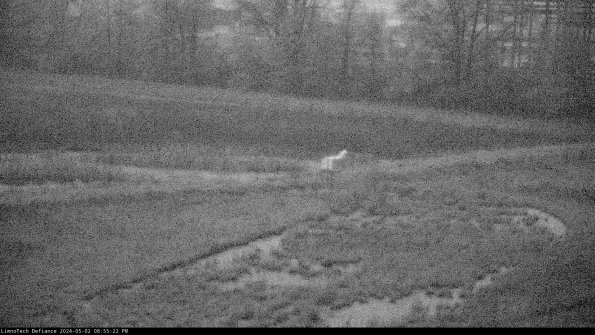 Cell 2 to 3_24-05-02_20-55-23-31