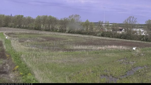 Cell 2_24-05-02_10-18-46-36