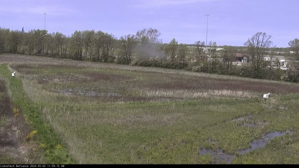 Cell 2_24-05-02_11-59-16-39