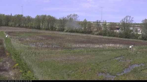 Cell 2_24-05-02_12-32-45-41