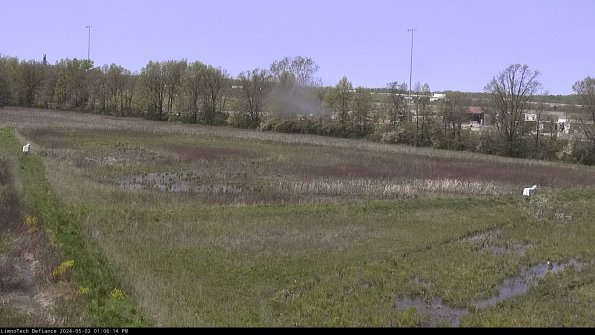 Cell 2_24-05-02_13-06-15-33