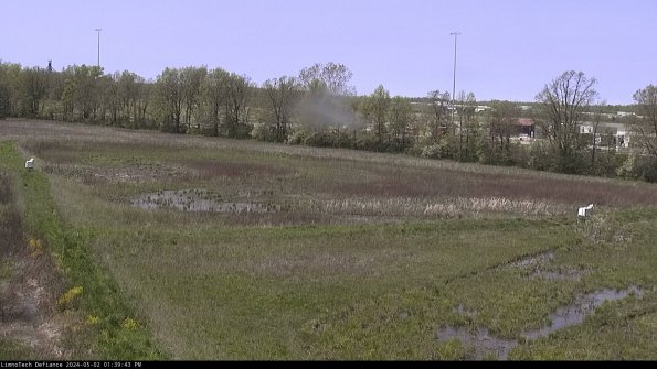 Cell 2_24-05-02_13-39-44-35