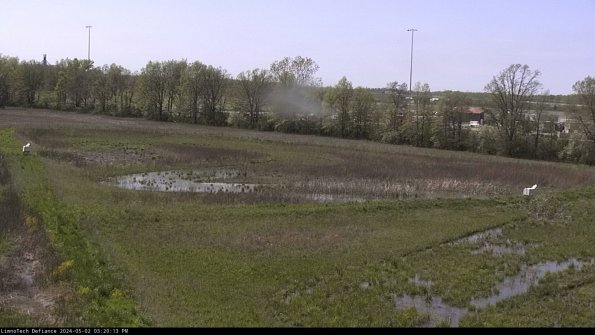 Cell 2_24-05-02_15-20-14-38