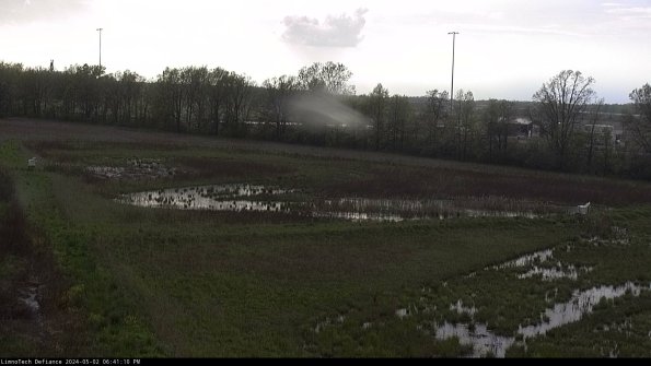 Cell 2_24-05-02_18-41-11-36